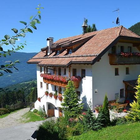 Baerntalerhof Villa Falzes Exterior photo