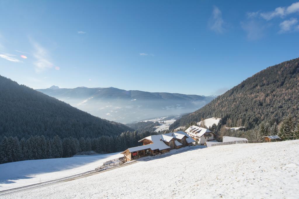 Baerntalerhof Villa Falzes Exterior photo