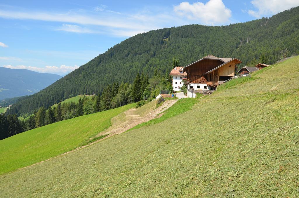 Baerntalerhof Villa Falzes Exterior photo